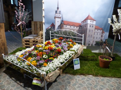 P1080756.JPG