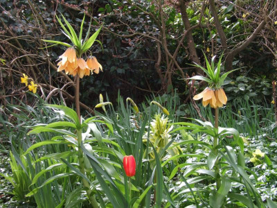 DSCF6066.JPG