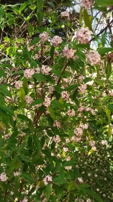 20190318_162506.jpg