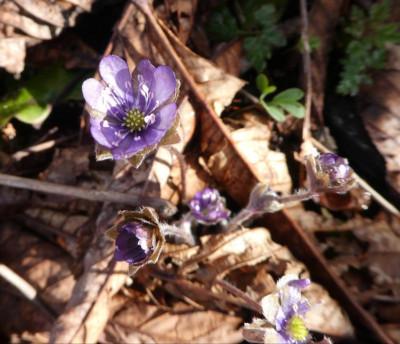 20190318_205433.jpg
