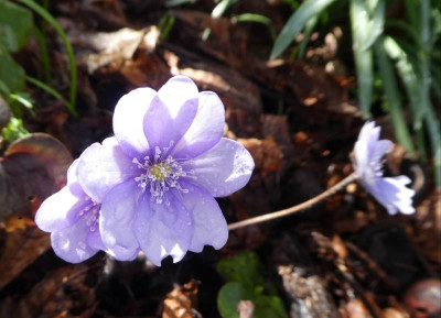 20190318_205535.jpg