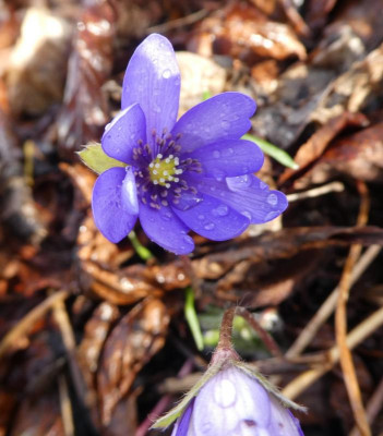 20190318_205404.jpg