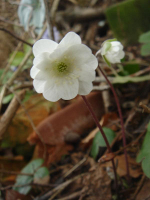 DSC05971.JPG