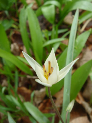 DSC05974.JPG