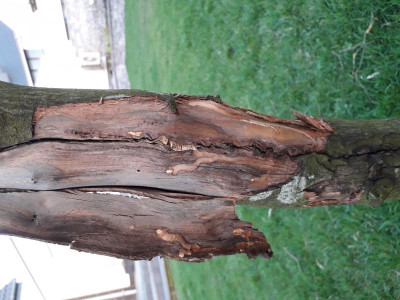 20190318_182559.jpg