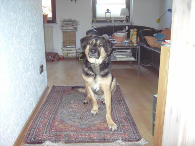 PICT2563.JPG