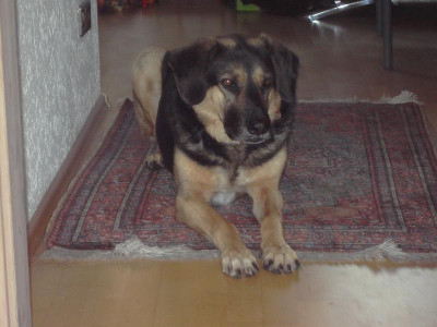 PICT2564.JPG