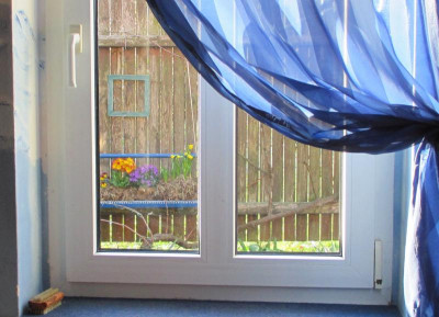 Fenster.jpg