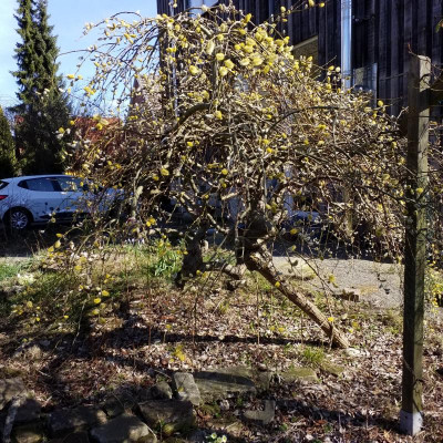 20190320_105102.jpg