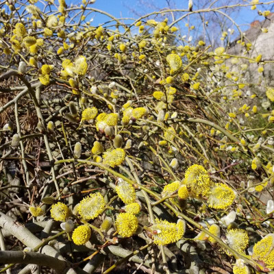 20190320_105152.jpg
