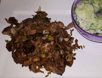 20190320_184914.jpg