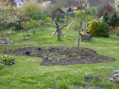 2014-04-20 Gräserbeet6.jpg