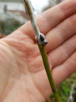 20190322_094004.jpg