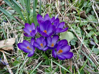 P1050198.jpg