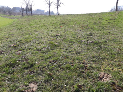 rps20190322_141204.jpg