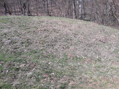 rps20190322_141224.jpg