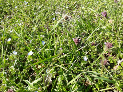 rps20190322_140522.jpg