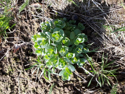 rps20190322_142107.jpg