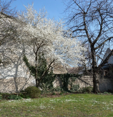 tg_190322_1.jpg