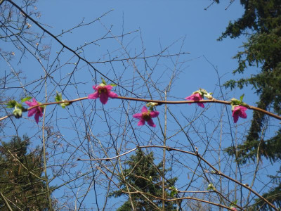 DSC06001.JPG
