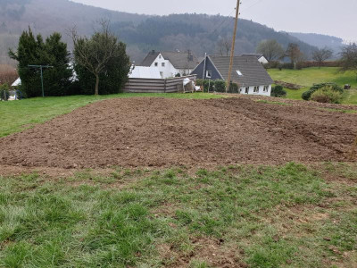 20190323_150404.jpg