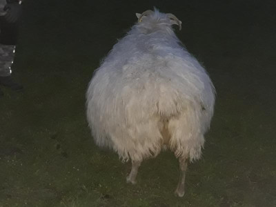 ichplatzebald.jpg