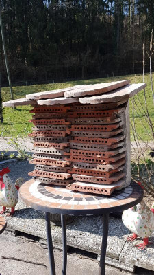 20190324_110525.jpg