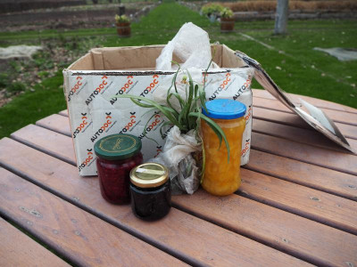 Burgenland 24.3.19 ue.JPG