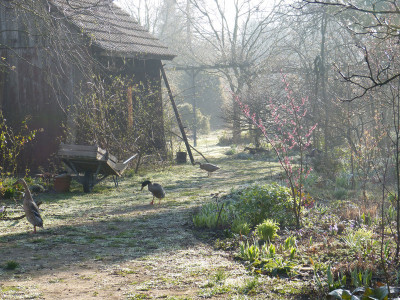 2019-03-24 Garteneinblick 1.jpg