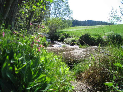 kampsteine1.jpg