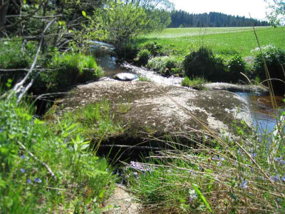kampsteine3.jpg