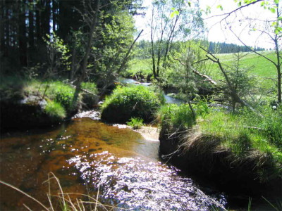 kampsteine4.jpg