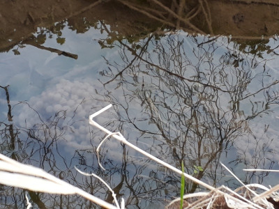 rps20190326_175834.jpg