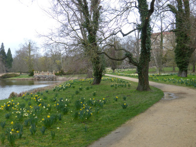 2019-03-26 Schlosspark Wiesenburg 24.jpg
