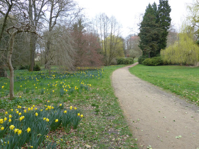 2019-03-26 Schlosspark Wiesenburg 14.jpg