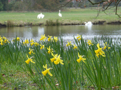 2019-03-26 Schlosspark Wiesenburg 2.jpg