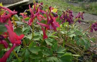 20190326_222103.jpg