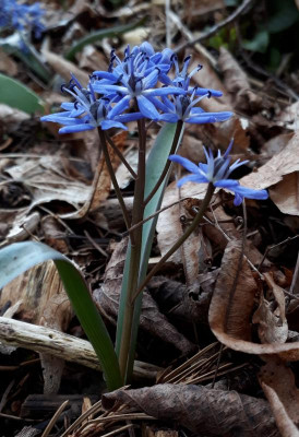 20190326_135741.jpg
