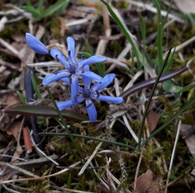 20190326_135556.jpg