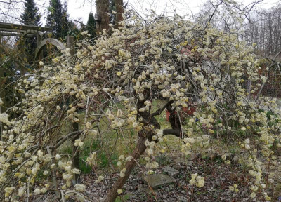 IMG_20190327_094902.jpg