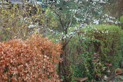 DSC_4992.JPG