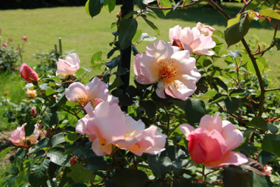 Meg_001__HS_5640.jpg