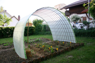 Tomatenhaus0107.jpg