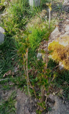 20190330_161957.jpg