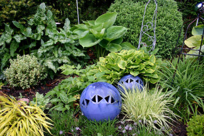 Hosta01907.jpg