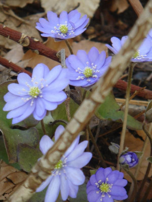 DSC06048.JPG