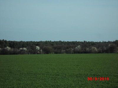 DSCI2012.JPG