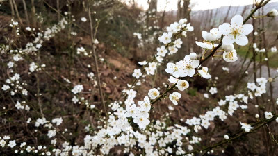 PhotoEditor_20190330_205508991.jpg