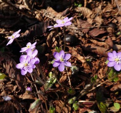 20190330_223826.jpg