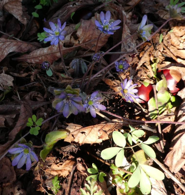 20190330_223725.jpg